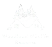 Woodland Wildlife Removal